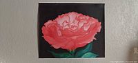 Full view of signed canvas painting showing pink flower on black background
