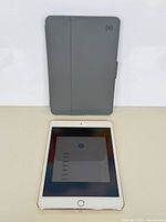 Front view of powered-on iPad mini 4 displaying language setup screen with case behind