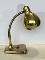 Full view of brass tone gooseneck desk lamp