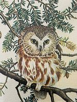 Close-up of owl illustration showing detail and signature