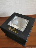 Paperweight inside closed Rosenthal box showing logo and clear window