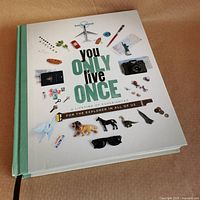 Front cover of hardcover book showing title and collage graphics