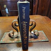 Spine view of hardcover showing title Andromeda Klein and author Portman