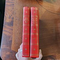 Spine view showing both red gilt-decorated volumes and titles