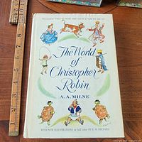 Front cover of dust-jacketed book