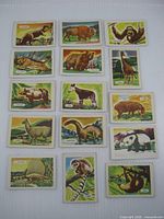 Full layout of all fifteen trading cards