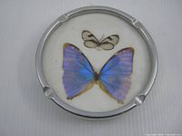 top view showing butterflies and three cigarette rests