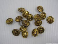 Front view of 16 gold-tone Canada Customs buttons