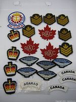 Front view showing all 23 cloth badges arranged