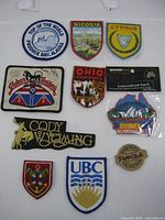 Group view of all ten patches