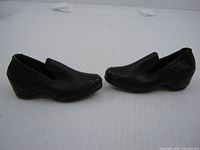 Both miniature shoes side view on white backdrop