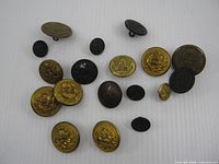 Front view of all 18 buttons showing size and finish variety