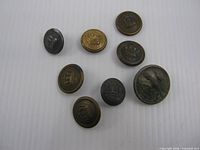 All eight buttons arranged, showing size and finish variations