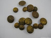 All 15 brass buttons spread out on white background