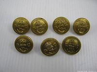 Front view of seven brass Royal Naval Volunteer Reserve buttons