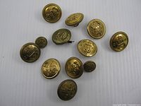 Group of 12 brass Canadian Navy buttons on white background