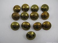 Front view of all 13 PPCLI buttons