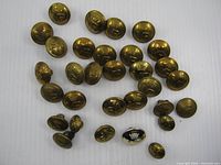 Overview of all 31 PPCLI uniform buttons