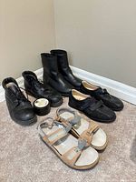 Group shot of two boots, shoes, sandals, mink oil