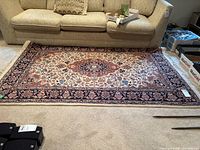 Full view of rectangular oriental style rug on floor