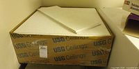 Opened USG Ceilings box showing white 24 × 24 in ceiling tiles and one partial tile