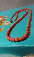 Full view of coral necklace on blue surface