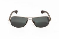 Front view of sunglasses showing frame and lenses