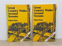 Front covers of both paperback copies