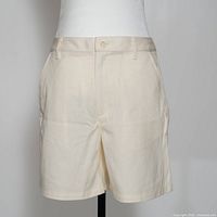 Front view of Icebreaker Berlin shorts showing colour, style and front pockets