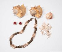 Full lot view showing necklace, earrings, three conch shells and loose spiral shells