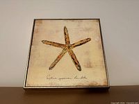 Front view of square starfish wall art