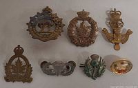 All seven badges and pins arranged for overview