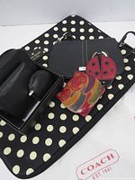 Entire lot laid out including pouch, wallets, wristlet, charms and dust bag