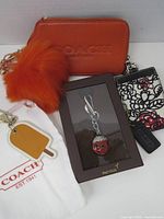 Group shot of wristlet, pom-pom charm, boxed ladybug charm, floral card holder, popsicle keychain, Coach dust bag