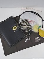 Overall lot showing folio, zebra card holder with lanyard, pom pom charm, yellow leather charm on Coach dust bag