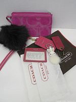 Group shot of all Coach accessories showing wristlet, charms, card holders and dust bags
