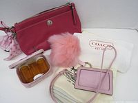 All items: wristlet, card holder, pom pom, pill case, dust bag