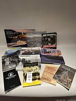 All twelve books arranged to show covers