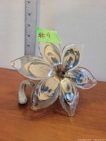 Front view showing five petals and looped stem with ruler indicating height