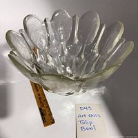 Top view showing full petal rim and interior texture with ruler for scale