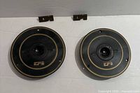 Front view of two EPI 1243 tweeter drivers with EPI gold lettering and badges above