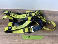 Entire harness laid out showing overall condition and color