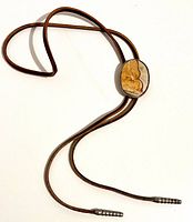 Full view of bolo tie showing cord, tips, and pendant