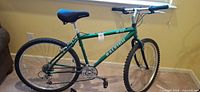 Full side view of green Raleigh bicycle showing frame, wheels, saddle