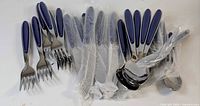 Full set spread out showing navy handles, forks, knives in plastic sleeves and stacked spoons
