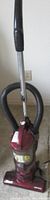 Full front view of burgundy Shark Euro-Pro XL upright stick vacuum showing handle, hose and floor head
