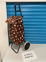 Side view of folding shopping cart showing floral bag, frame, handle and wheels