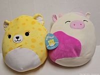 Lexie and Caedyn Squishmallows front view showing hangtags