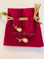 Pair of earrings on branded velvet pouch