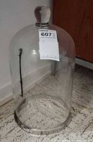 Full view of glass cloche with label showing scale